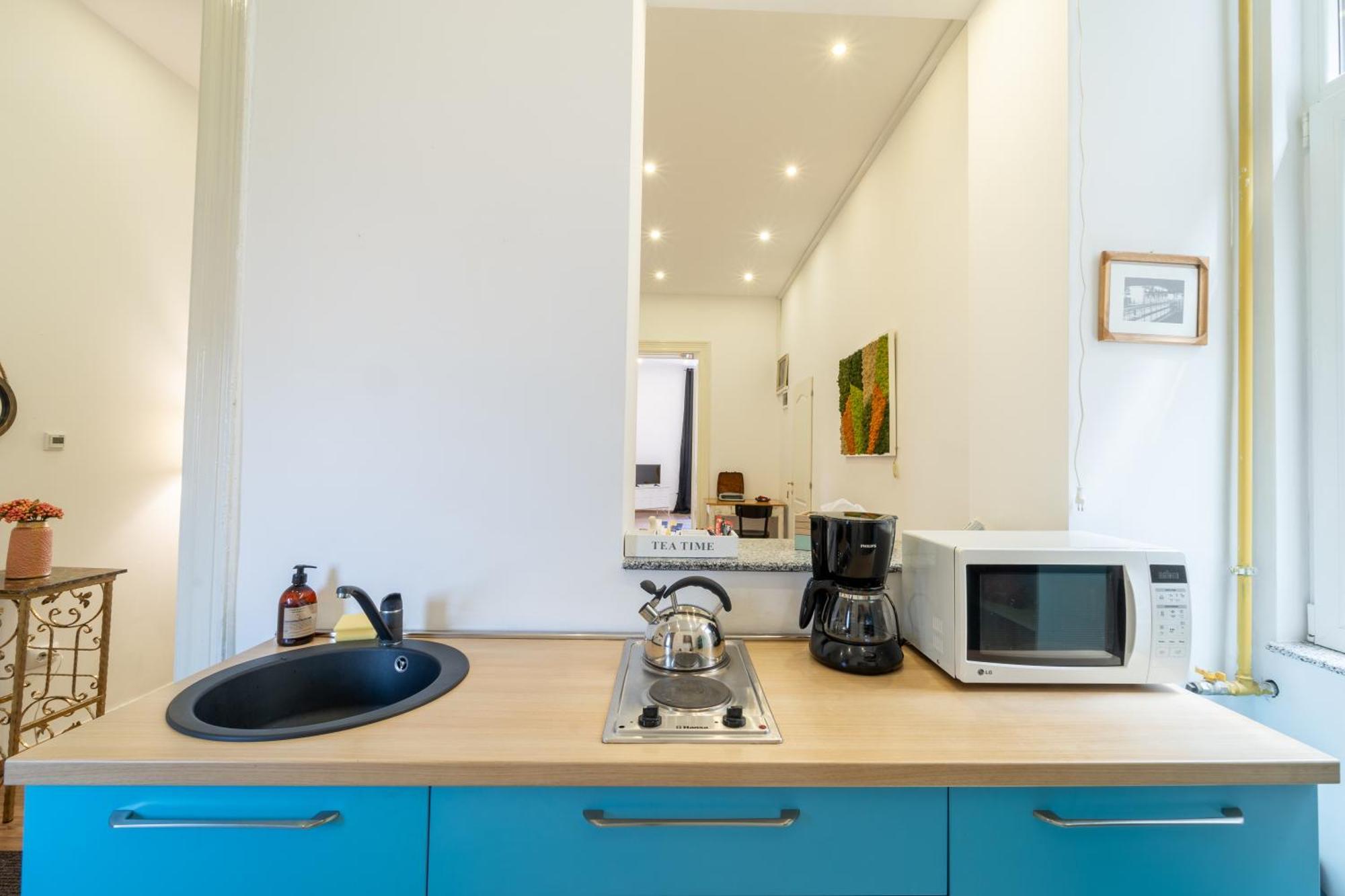 Cozy Spacious 5 Star Accommodation In The Heart Of Historic Center Клуж-Напока Екстериор снимка